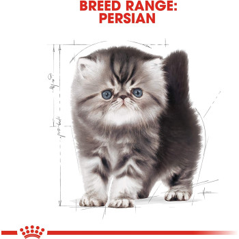 Royal Canin Feline Breed Nutrition Persian Kitten 400 G
