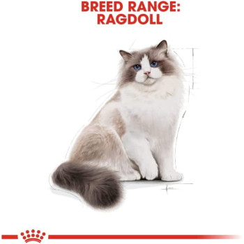 Royal Canin Feline Breed Nutrition Ragdoll Adult 2 Kg
