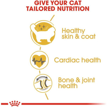 Royal Canin Feline Breed Nutrition Ragdoll Adult 2 Kg