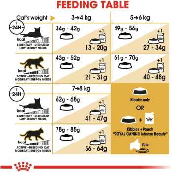 Royal Canin Feline Breed Nutrition Ragdoll Adult 2 Kg