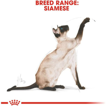 Royal Canin Feline Breed Nutrition Siamese Adult 2 Kg