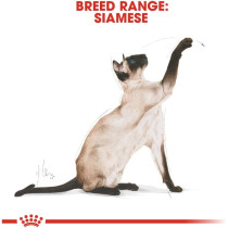 Royal Canin Feline Breed Nutrition Siamese Adult 2 Kg
