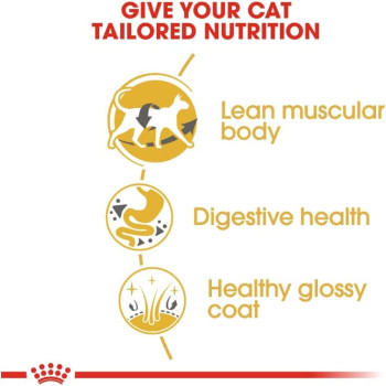 Royal Canin Feline Breed Nutrition Siamese Adult 2 Kg