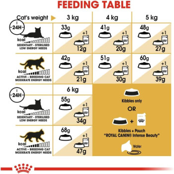 Royal Canin Feline Breed Nutrition Siamese Adult 2 Kg