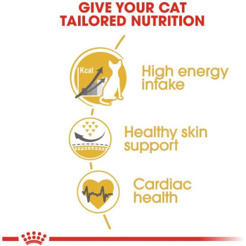 Royal Canin Feline Breed Nutrition Sphyn 2 Kg