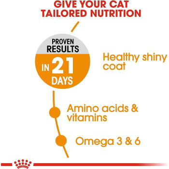 Royal Canin Feline Care Nutrition Hair & Skin Care Cat Food - 2 Kg | Hair & Skin Care Adult Cat Dry Food