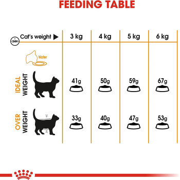 Royal Canin Feline Care Nutrition Hair & Skin Care Cat Food - 2 Kg | Hair & Skin Care Adult Cat Dry Food