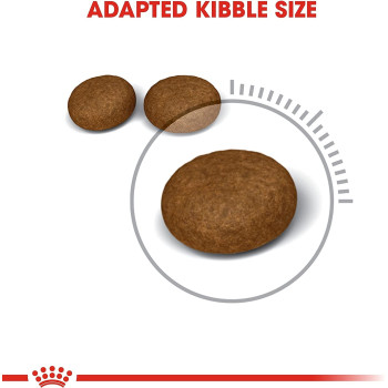 Royal Canin Feline Care Nutrition Hair & Skin Care Cat Food 4 Kg | Adult Cat Dry Foods