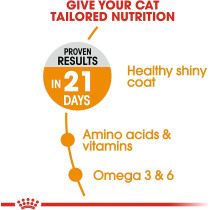 Royal Canin Feline Care Nutrition Hair & Skin Care Cat Food 4 Kg | Adult Cat Dry Foods