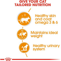 Royal Canin Feline Care Nutrition Intense Beauty Jelly Wet Foodpouches