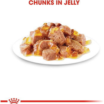 Royal Canin Feline Care Nutrition Intense Beauty Jelly Wet Foodpouches