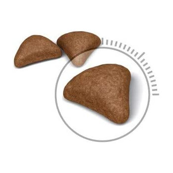 Royal Canin Feline Care Nutrition Hairball Care 2 Kg