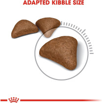 Royal Canin Feline Care Nutrition Hairball Care Cat Food 4 KG | Cat Dry Foods
