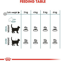 Royal Canin Feline Care Nutrition Hairball Care Cat Food 4 KG | Cat Dry Foods