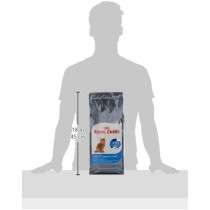 Royal Canin Feline Care Nutrition Light Weight Care 400 G | Cat Dry Food