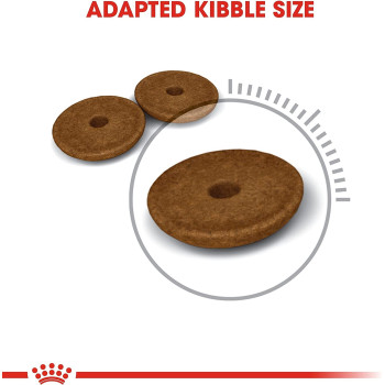 Royal Canin Feline Care Nutrition Digestive Care Cat Food 400g | Adult Dry Cat Foods