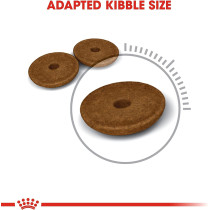 Royal Canin Feline Care Nutrition Digestive Care Cat Food 400g | Adult Dry Cat Foods