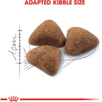 Royal Canin Feline Health Nutrition Indoor Cat Food 400 G | Cat Dry Foods 