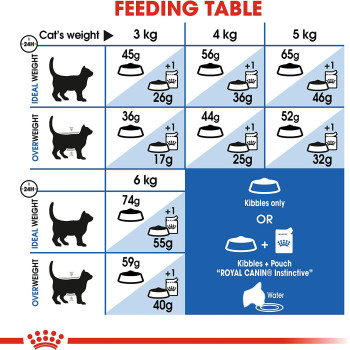 Royal Canin Feline Health Nutrition Indoor Cat Food 400 G | Cat Dry Foods 