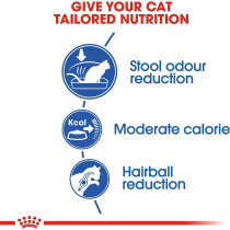 Royal Canin Feline Health Nutrition Indoor Cat Food 400 G | Cat Dry Foods 