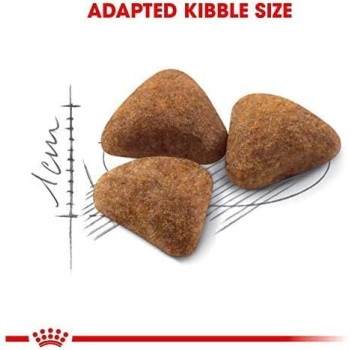 Royal Canin Feline Health Nutrition Indoor Cat Food 4 KG | Cat Dry Foods 