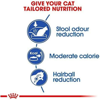 Royal Canin Feline Health Nutrition Indoor Cat Food 4 KG | Cat Dry Foods 