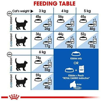 Royal Canin Feline Health Nutrition Indoor Cat Food 4 KG | Cat Dry Foods 