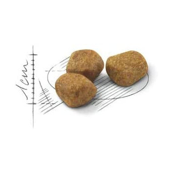 Royal Canin Feline Health Nutrition Indoor Cat Food for 7+ Years, 3.5 Kg | Cat Dry Foods