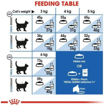 Royal Canin Feline Health Nutrition Indoor Cat Food for 7+ Years, 3.5 Kg | Cat Dry Foods