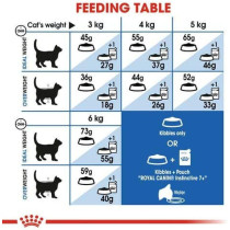 Royal Canin Feline Health Nutrition Indoor Cat Food for 7+ Years, 3.5 Kg | Cat Dry Foods