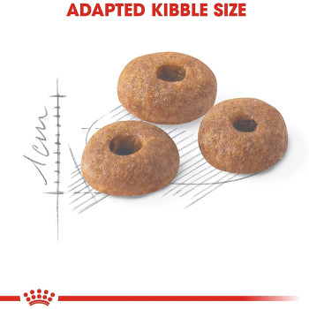 Royal Canin Feline Health Nutrition Fit-32 Cat Food 400G | Adult Cat Dry Foods