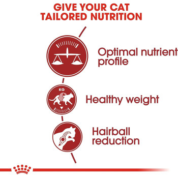 Royal Canin Feline Health Nutrition Fit-32 Cat Food 400G | Adult Cat Dry Foods