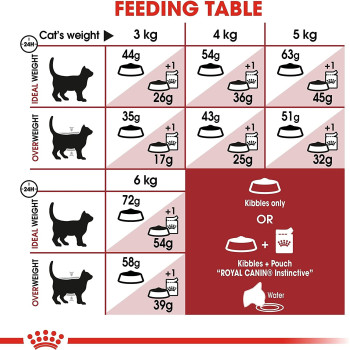 Royal Canin Feline Health Nutrition Fit-32 Cat Food 400G | Adult Cat Dry Foods
