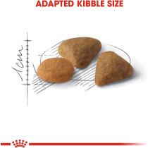 Royal Canin Feline Health Nutrition Savour Exigent 2 Kg