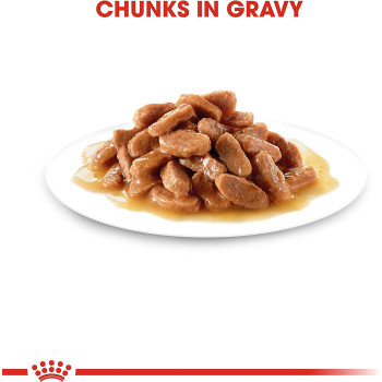 Royal Canin Feline Health Nutrition Kitten Sterilised Gravy Cat Wet Food 12X85G Pouches | Sterilised Cat Gravy & Wet Foods Pouches