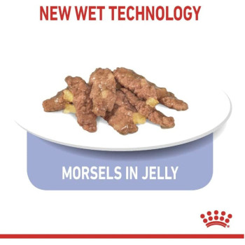 Royal Canin Feline Health Nutrition Indoor 7+ Jelly Cat Wet Food Pouches 12X85g | Cat Wet Food Pouches
