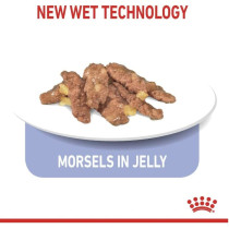 Royal Canin Feline Health Nutrition Indoor 7+ Jelly Cat Wet Food Pouches 12X85g | Cat Wet Food Pouches