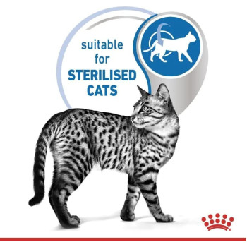 Royal Canin Feline Health Nutrition Indoor 7+ Jelly Cat Wet Food Pouches 12X85g | Cat Wet Food Pouches