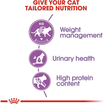 Royal Canin Feline Health Nutrition Regular Sterilised Cat Food 2 Kg | Cat Dry Food