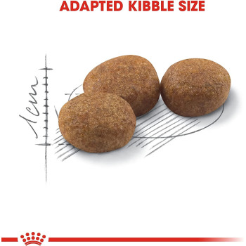 Royal Canin Feline Health Nutrition Regular Sterilised Cat Food 2 Kg | Cat Dry Food