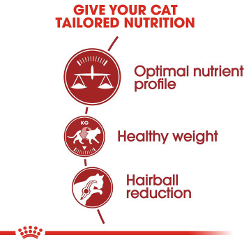 Royal Canin Feline Health Nutrition Fit 32 10 Kg