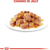 Royal Canin Feline Health Nutrition Instinctive Adult Cats Jelly Wet Food Pouches 12X85g