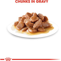 Royal Canin Feline Health Nutrition Instinctive Adult Cats Gravy Wet Food Pouches 12X85g