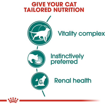 Royal Canin Feline Health Nutrition Instinctive 7+ Cat Gravy Wet Food 12X85g Pouches