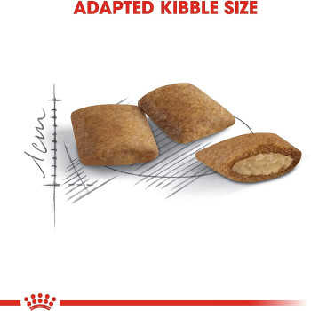 Royal Canin Feline Health Nutrition Ageing 12 Years 2 Kg