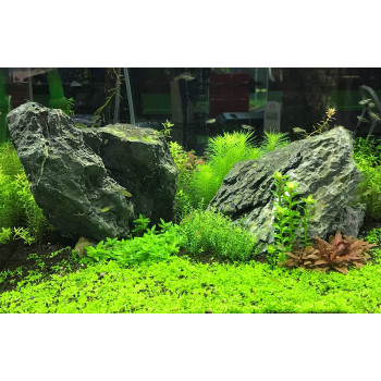 Seachem Flourish Trace 500Ml