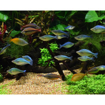 Seachem Alkaline Buffer 300G