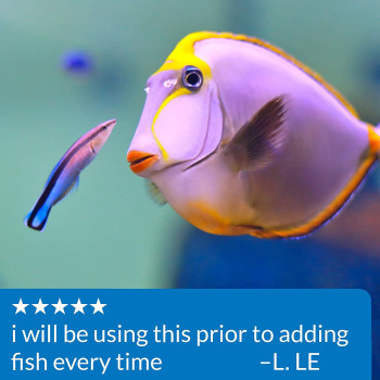 API Marine Stress Coat 16 OZ