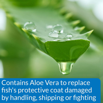 API Marine Stress Coat 16 OZ