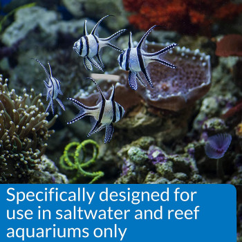 API Marine Stress Coat 16 OZ